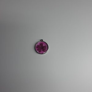 20260328_212143-scaled.jpg