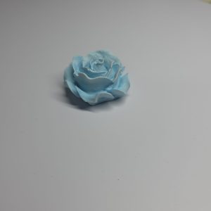 20260328_213626-scaled.jpg